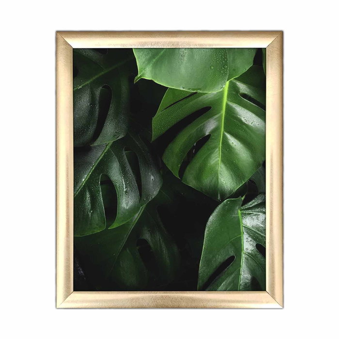Wallity Cuadro Decorativo ACT-049 Multicolor Wallity Cuadro Decorativo ACT-049 Multicolor